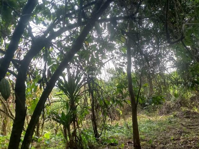 Land for sale in Ogun
