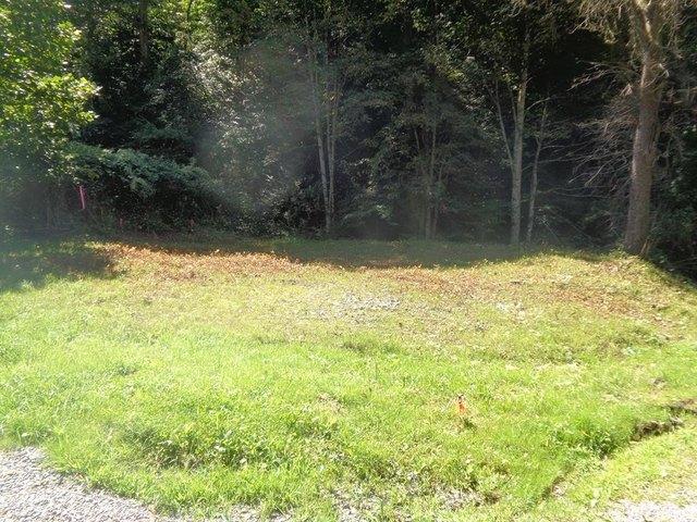 Land for sale in War, West Virginia