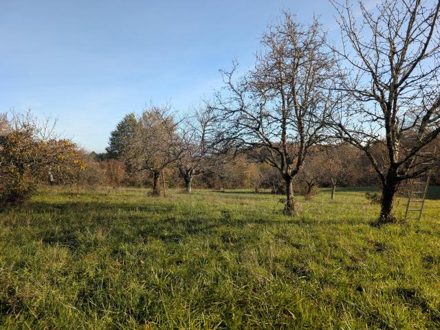 Terrain vente à Marmande, Cocumont