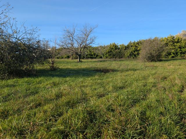 Terrain vente à Marmande, Cocumont