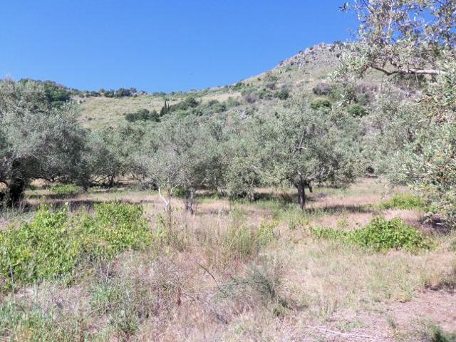 Terreno in vendita a Misilmeri, Sicilia