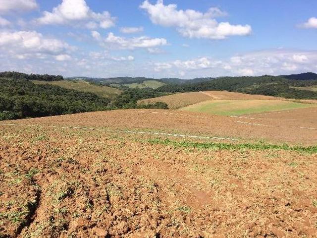 Terreno venda em Região Imediata de Sorocaba, Região Metropolitana de Sorocaba