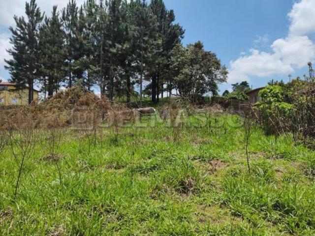 Terreno venda em Região Imediata de Sorocaba, Região Metropolitana de Sorocaba