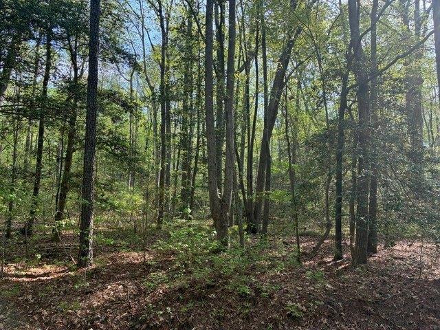 Land for sale in Virginia