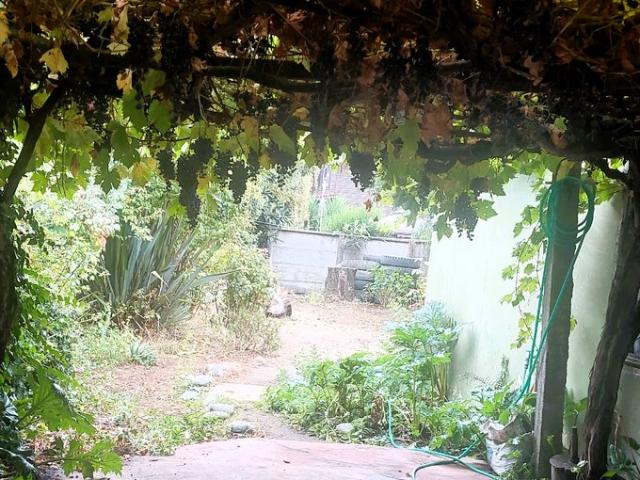 Coelemu, Manuel Antonio Matta