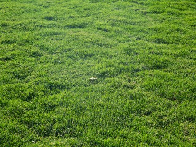 Terrain vente à Coëx, Vendée