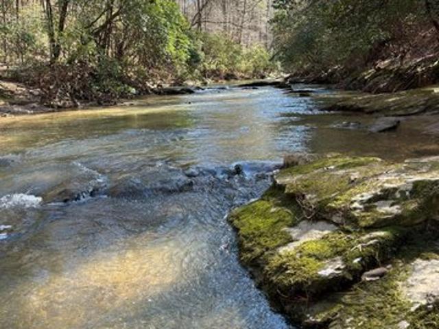 Land for sale in Pickens, Georgia
