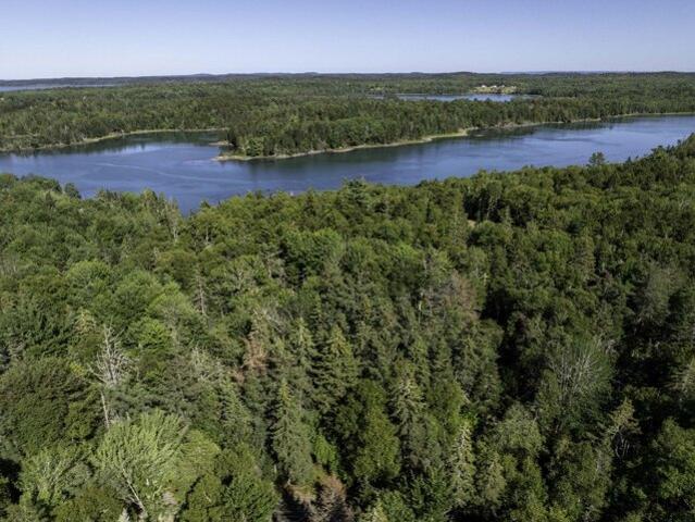 Land for sale in Lubec, Maine