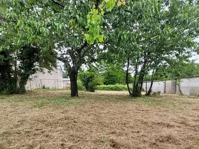 Terrain vente à France métropolitaine, Cognac