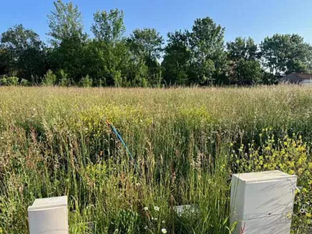 Terrain vente à France métropolitaine, Cognac