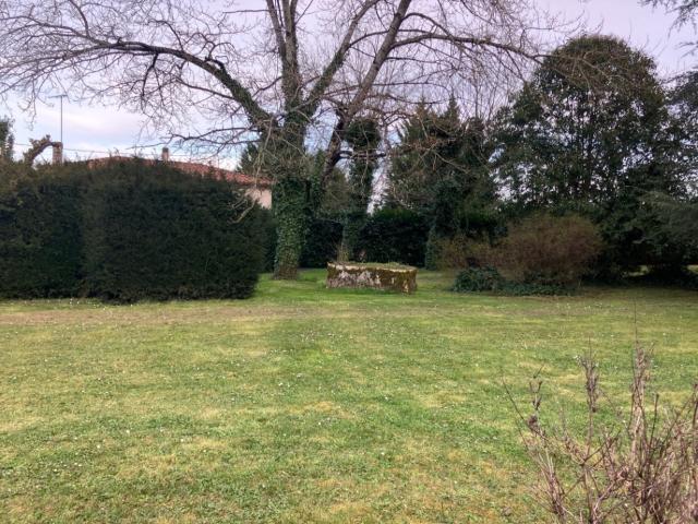 Terrain vente à Cognac