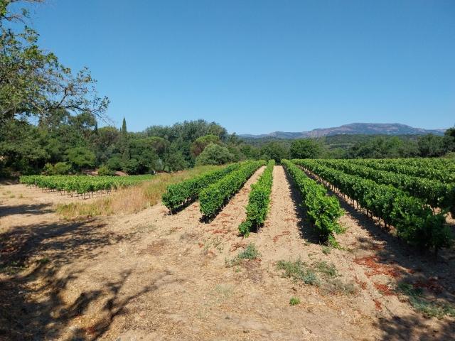 Maison vente à Arrondissement de Draguignan, Cogolin