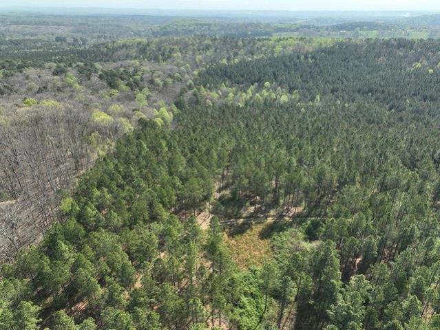 Land for sale in Cohutta, Georgia