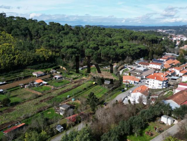 Terreno venda em Arganil