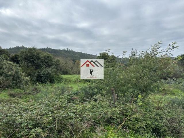 Terreno venda em Bairro de Brunhós, Arganil