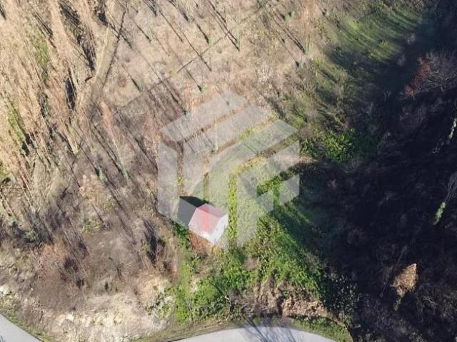 Casa venda em Arganil, Anceriz