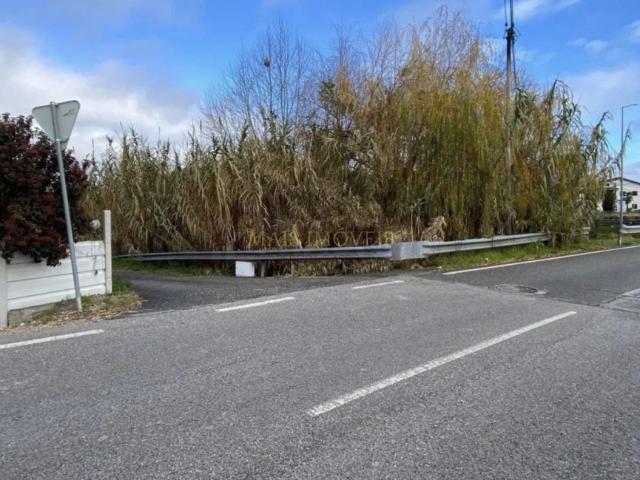Terreno venda em Cantanhede, Coimbra
