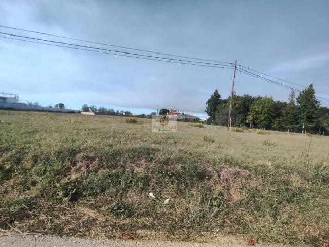 Terreno venda em Covões e Camarneira, Cantanhede