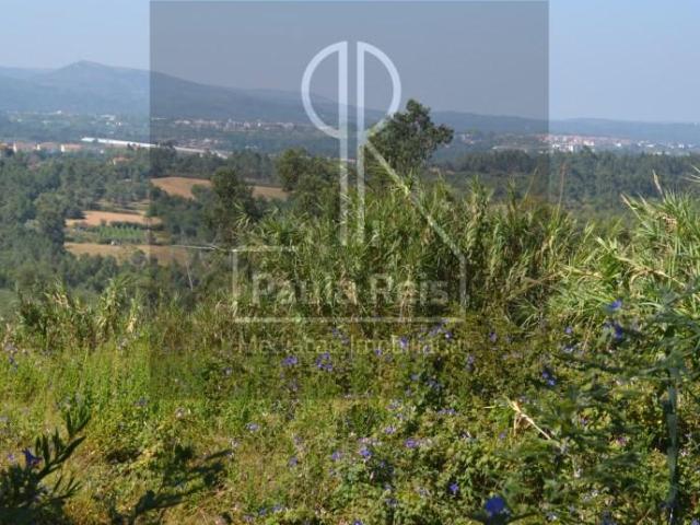 Terreno venda em Coimbrã, Coimbra