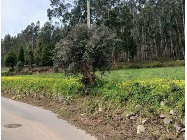 Terreno venda em Coimbrã, Botão