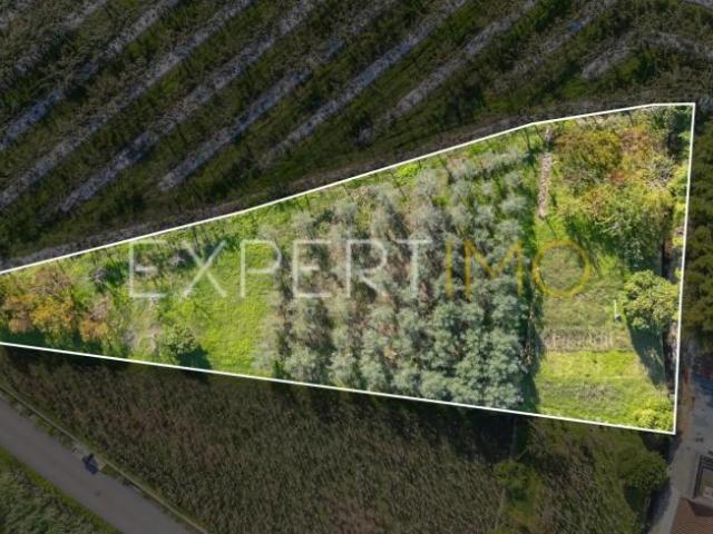 Terreno venda em Coimbrã, Almalaguês