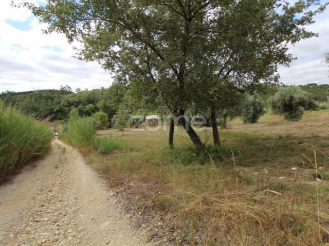 Terreno venda em Coimbrã, Coimbra