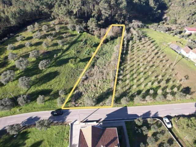 Terreno venda em Coimbrã, Coimbra