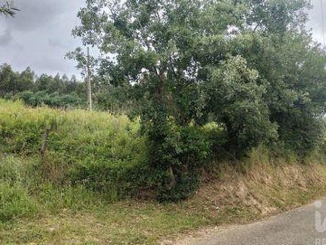 Terreno venda em Coimbrã, Sé Nova