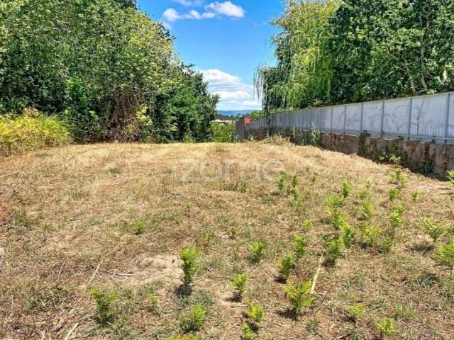 Terreno venda em Coimbrã, Coimbra