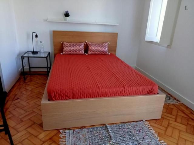 Apartamento alugar em Coimbrã, Coimbra