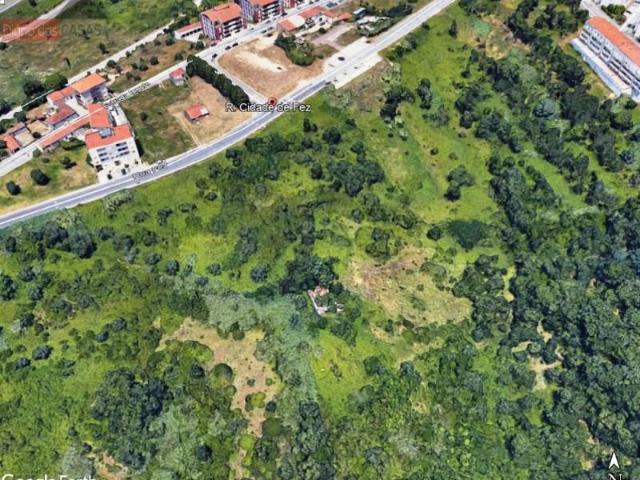 Terreno venda em Coimbrã, Coimbra