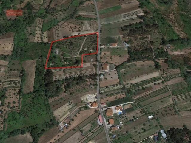 Terreno venda em Coimbrã, Coimbra