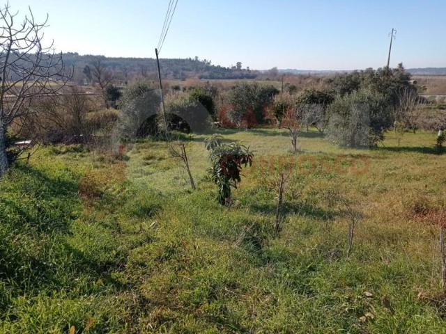 Terreno venda em Coimbrã, Coimbra