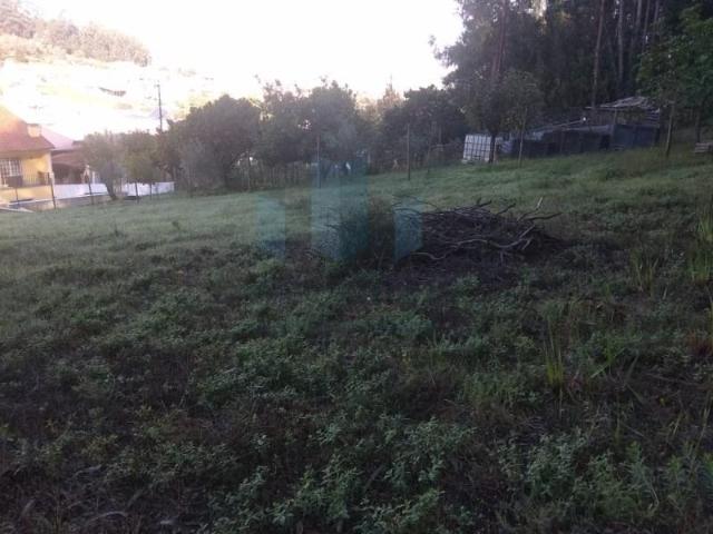Terreno venda em Coimbrã, Ribeira De Frades