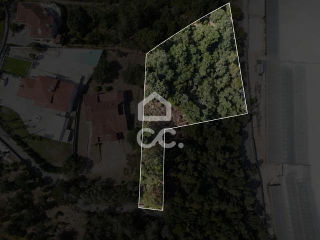 Terreno venda em Coimbrã, Coimbra