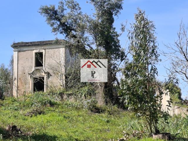 Terreno venda em Coimbrã, Coimbra