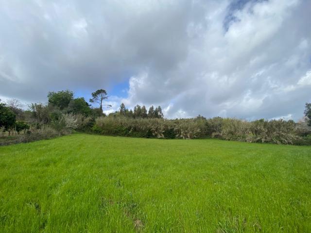 Terreno venda em Coimbrã, Coimbra