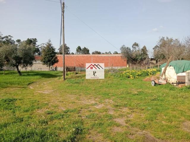 Terreno venda em Coimbrã, Vil De Matos