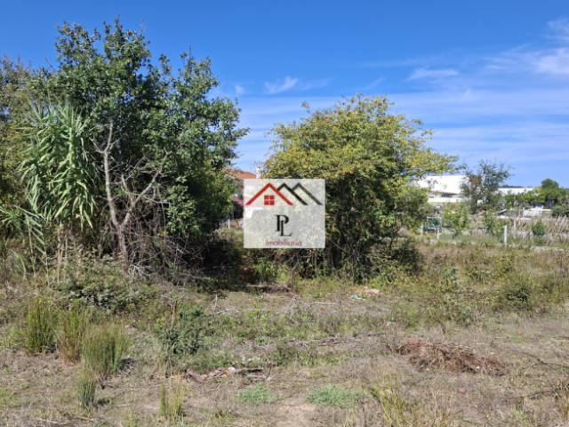 Terreno venda em Coimbrã, Coimbra