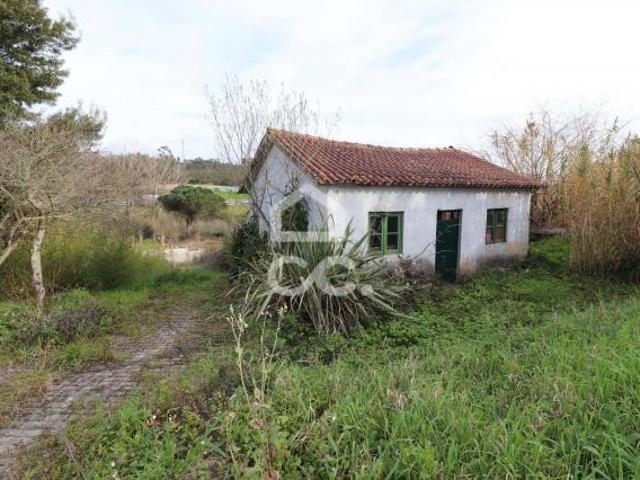 Terreno venda em Coimbrã, Coimbra