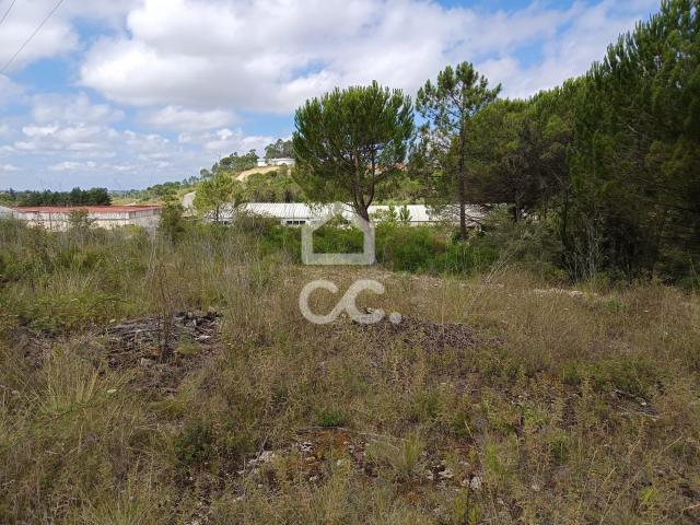 Terreno venda em Coimbrã, Coimbra