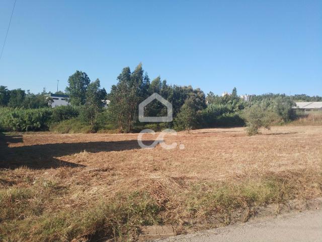 Terreno venda em Coimbrã, Coimbra