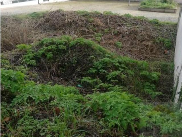 Terreno venda em Coimbrã, Coimbra