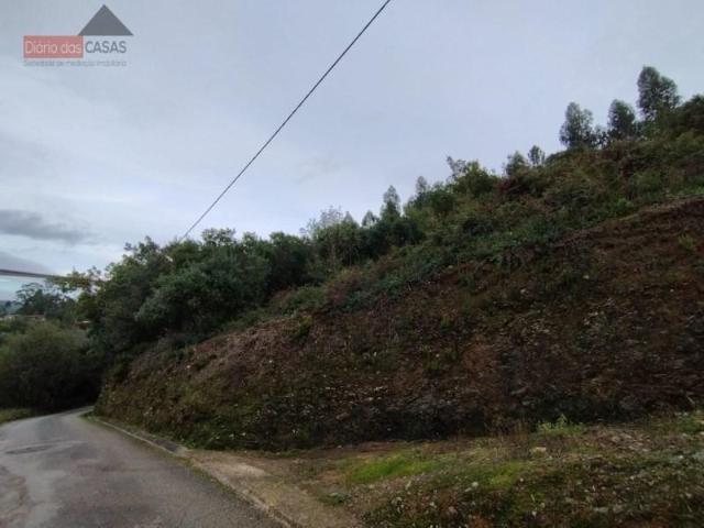 Terreno venda em Coimbrã, Coimbra