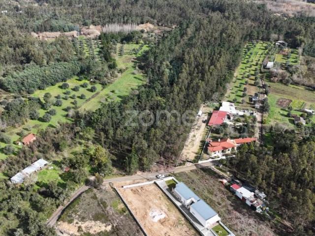 Terreno venda em Coimbrã, Coimbra