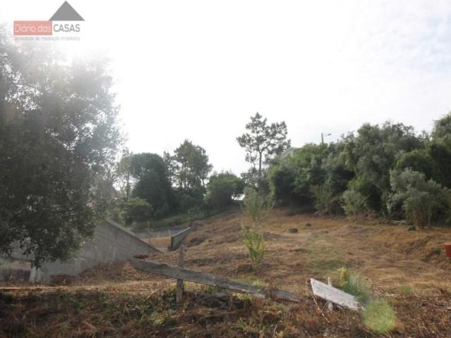 Terreno venda em Coimbrã, Coimbra