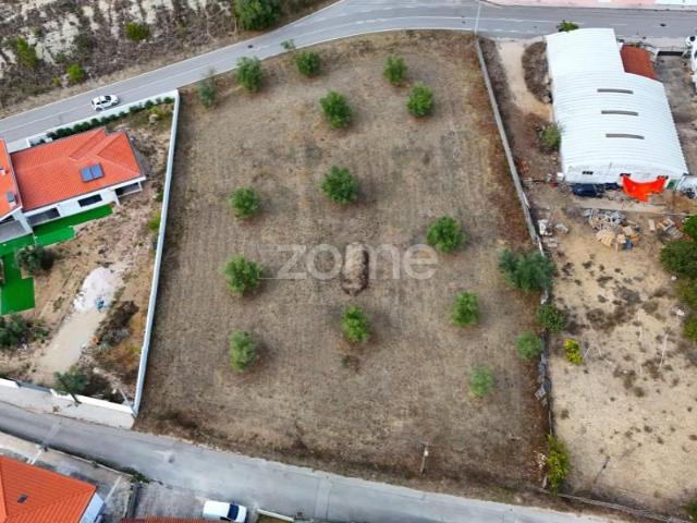 Terreno venda em Coimbrã, Coimbra