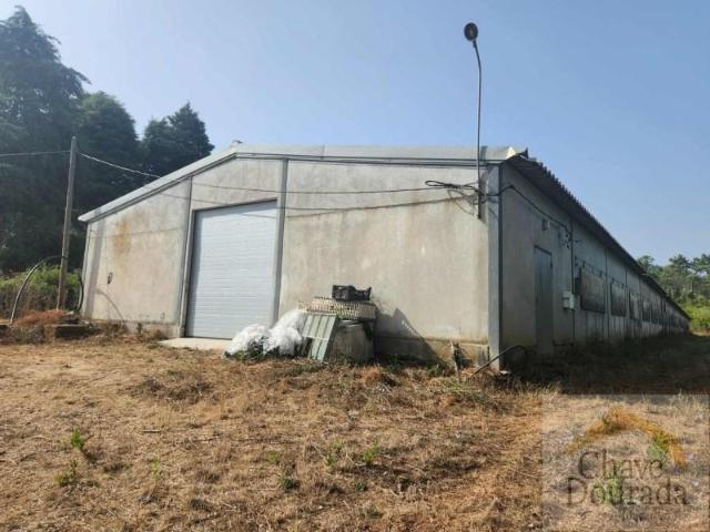 Casa alugar em Coimbra