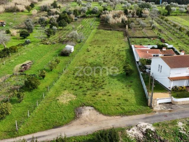 Terreno venda em Coimbrã, Coimbra