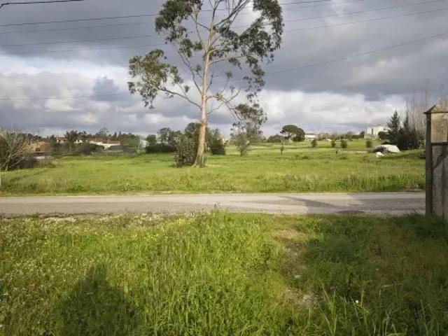 Terreno venda em Montemor-o-velho, Coimbra